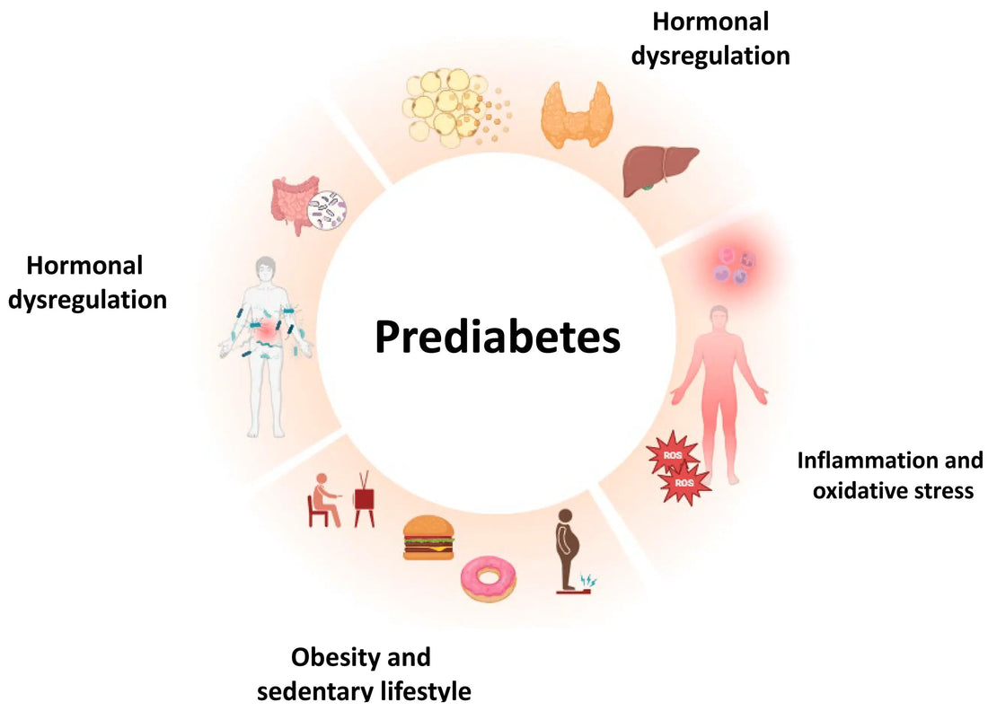 Can-Prediabetes-Be-Reversed-How-and-Why-Past-Methods-Failed SusWel