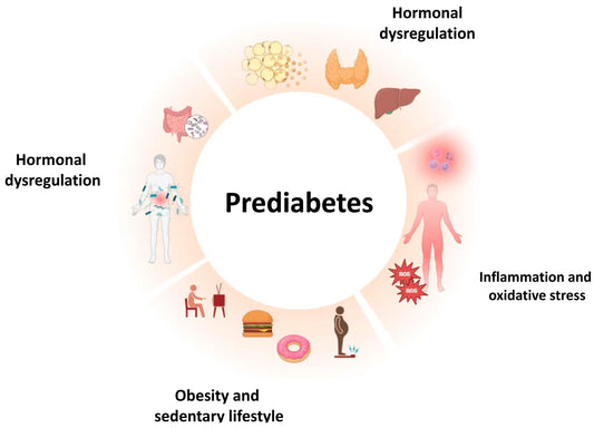 Can-Prediabetes-Be-Reversed-How-and-Why-Past-Methods-Failed SusWel